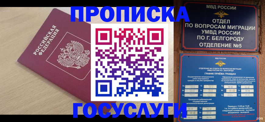 прописка законно в Новомичуринске